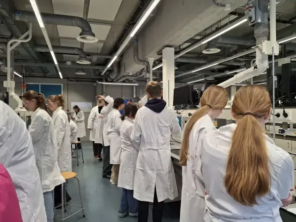 Students learning